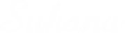 nav logo@4x
